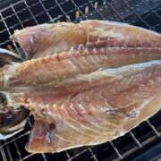 ヒメ日記 2025/06/21 12:05 投稿 きらら 泡の伝道師