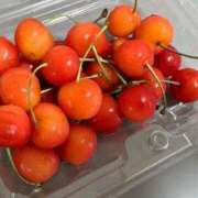 ヒメ日記 2025/06/26 15:04 投稿 きらら 泡の伝道師