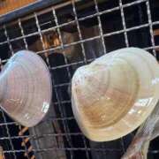 ヒメ日記 2025/06/27 12:05 投稿 きらら 泡の伝道師