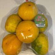 ヒメ日記 2025/10/21 06:14 投稿 きらら 泡の伝道師