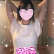 ヒメ日記 2025/11/13 07:14 投稿 きらら 泡の伝道師