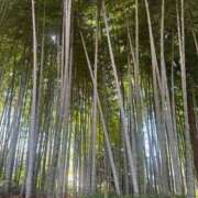 ヒメ日記 2025/11/23 19:34 投稿 きらら 泡の伝道師