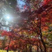 ヒメ日記 2025/11/28 15:14 投稿 きらら 泡の伝道師