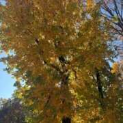 ヒメ日記 2025/12/05 09:14 投稿 きらら 泡の伝道師