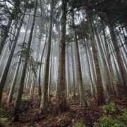 ヒメ日記 2026/01/04 07:44 投稿 きらら 泡の伝道師