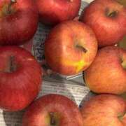 ヒメ日記 2026/01/08 15:04 投稿 きらら 泡の伝道師