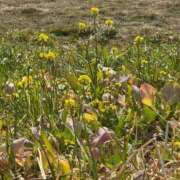 ヒメ日記 2026/02/11 10:14 投稿 きらら 泡の伝道師