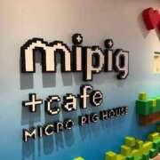 ヒメ日記 2026/02/27 15:14 投稿 きらら 泡の伝道師