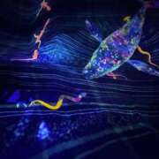 ヒメ日記 2026/02/28 12:14 投稿 きらら 泡の伝道師