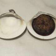 ヒメ日記 2026/02/28 15:14 投稿 きらら 泡の伝道師