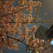 ヒメ日記 2026/03/06 20:14 投稿 きらら 泡の伝道師