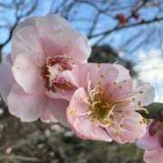 ヒメ日記 2026/03/12 09:14 投稿 きらら 泡の伝道師