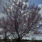 ヒメ日記 2026/03/28 09:14 投稿 きらら 泡の伝道師