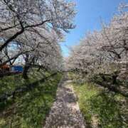 ヒメ日記 2026/04/08 12:14 投稿 きらら 泡の伝道師