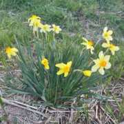 ヒメ日記 2026/04/13 10:09 投稿 きらら 泡の伝道師