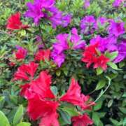 ヒメ日記 2026/04/19 19:14 投稿 きらら 泡の伝道師