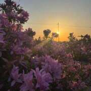 ヒメ日記 2026/04/25 18:34 投稿 きらら 泡の伝道師