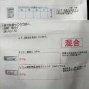 ヒメ日記 2026/09/07 13:44 投稿 きらら 泡の伝道師