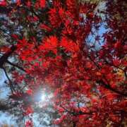 ヒメ日記 2026/09/09 09:04 投稿 きらら 泡の伝道師