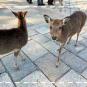 ヒメ日記 2026/01/07 14:45 投稿 一ノ瀬　看護師 うちの看護師にできることと言ったら・・・in渋谷KANGO