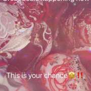 ヒメ日記 2025/04/08 18:36 投稿 のあ クラブ日本橋