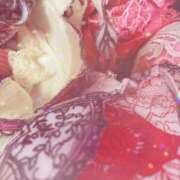 ヒメ日記 2025/08/02 17:47 投稿 のあ クラブ日本橋