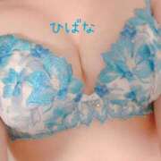 ヒメ日記 2024/12/16 16:18 投稿 ひばな リッチドールフェミニン