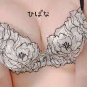 ヒメ日記 2024/12/17 16:17 投稿 ひばな リッチドールフェミニン