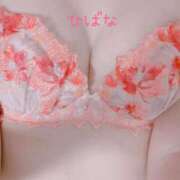 ヒメ日記 2024/12/19 16:17 投稿 ひばな リッチドールフェミニン