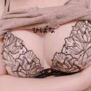 ヒメ日記 2024/12/19 19:47 投稿 ひばな リッチドールフェミニン