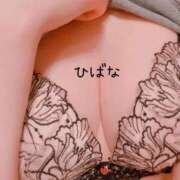 ヒメ日記 2024/12/31 19:47 投稿 ひばな リッチドールフェミニン