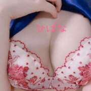 ヒメ日記 2025/04/02 22:37 投稿 ひばな リッチドールフェミニン