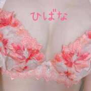 ヒメ日記 2025/10/12 10:17 投稿 ひばな リッチドールフェミニン