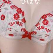 ヒメ日記 2025/10/14 10:07 投稿 ひばな リッチドールフェミニン