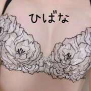 ヒメ日記 2025/11/18 10:17 投稿 ひばな リッチドールフェミニン