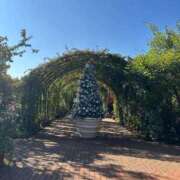 ヒメ日記 2025/12/24 12:17 投稿 ひばな リッチドールフェミニン