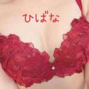 ヒメ日記 2026/02/08 10:07 投稿 ひばな リッチドールフェミニン