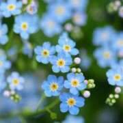 ヒメ日記 2026/02/22 11:46 投稿 ひばな リッチドールフェミニン