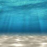 ヒメ日記 2026/02/23 16:27 投稿 ひばな リッチドールフェミニン