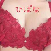 ヒメ日記 2026/05/21 13:17 投稿 ひばな リッチドールフェミニン