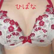 ヒメ日記 2026/06/25 13:13 投稿 ひばな リッチドールフェミニン