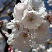 葛城はな おはようございます✨ 恋する妻たち