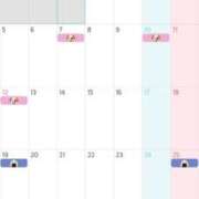 ヒメ日記 2025/12/29 09:08 投稿 穂波　つくし メイドin西川口（埼玉ハレ系）