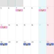 ヒメ日記 2025/12/30 12:14 投稿 穂波　つくし メイドin西川口（埼玉ハレ系）