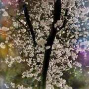 ヒメ日記 2025/04/04 12:08 投稿 えり 逢って30秒で即尺