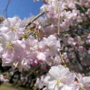 ヒメ日記 2026/03/30 12:00 投稿 えり 逢って30秒で即尺