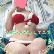 ヒメ日記 2024/12/23 10:37 投稿 中島　まちこ 昼下がりの情事