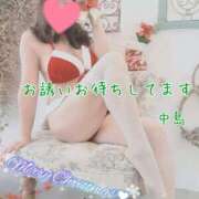 ヒメ日記 2024/12/25 19:59 投稿 中島　まちこ 昼下がりの情事