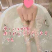 ヒメ日記 2025/01/10 20:15 投稿 中島　まちこ 昼下がりの情事