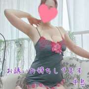 ヒメ日記 2025/02/15 19:22 投稿 中島　まちこ 昼下がりの情事